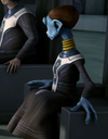 Gossam senator-HOBS