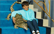 Ravi Ross