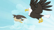 Eagle and falcon flying S2E07