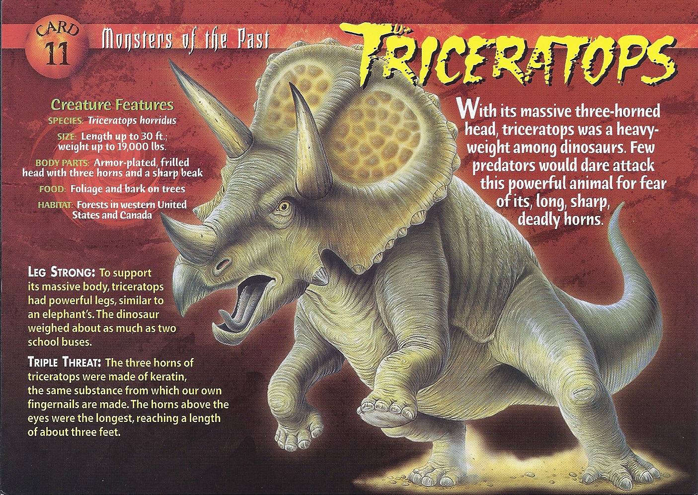 1 horned triceratops