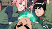 Sakura soignant Gaï