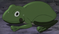 Eruka als Frosch