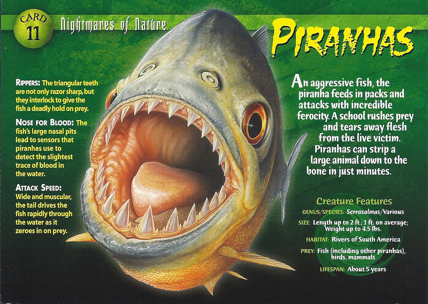Piranhas Nightmares of...