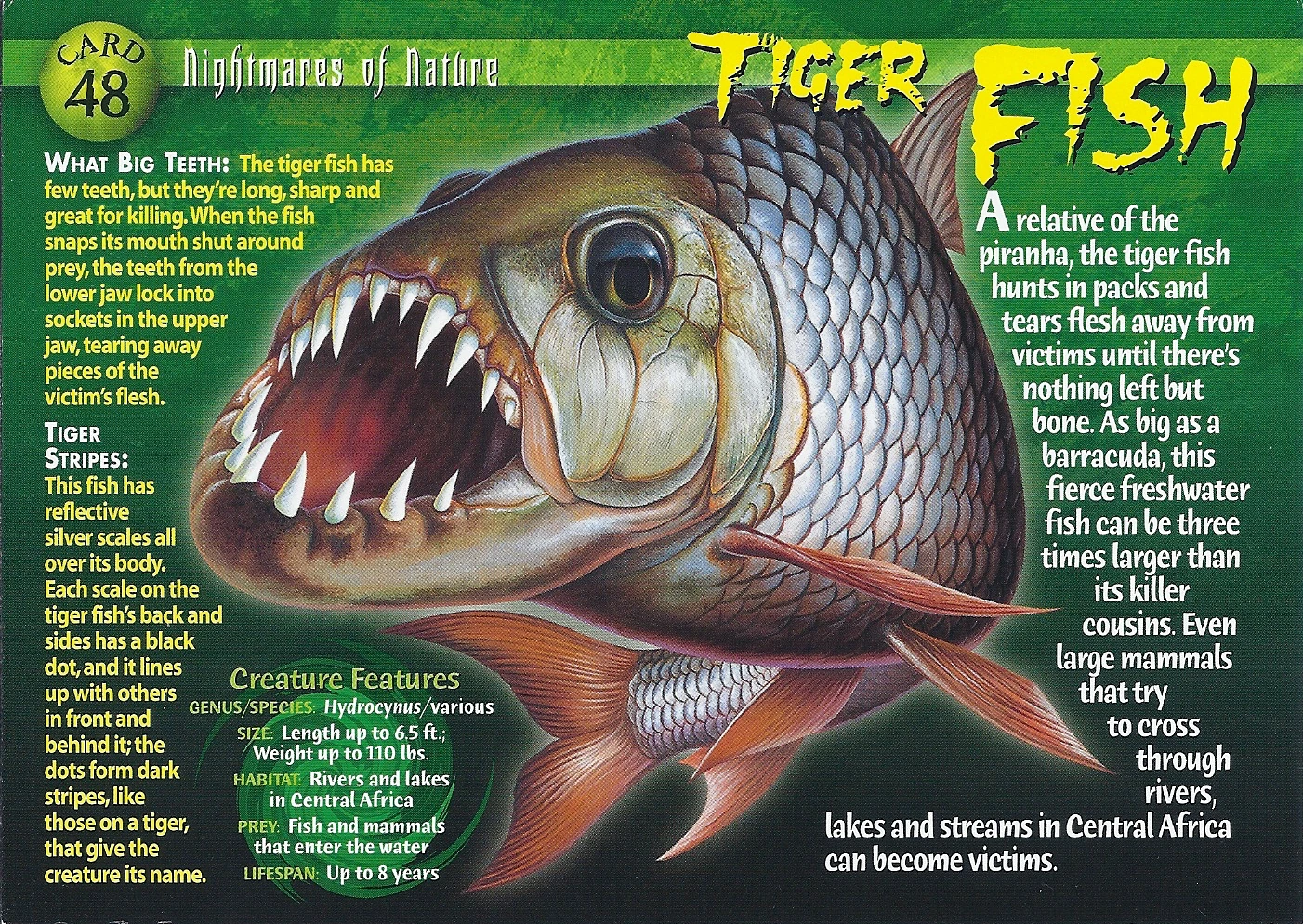 Tiger Fish Wierd N'wild Creatures Wiki