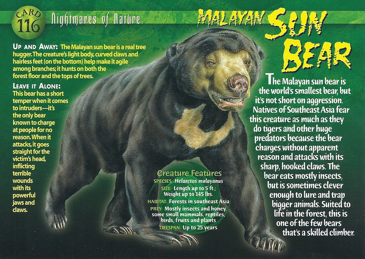 Malayan Sun Bear - Wierd N'wild Creatures Wiki