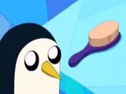 Gunter queriendo que lo cepillen