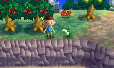 Jacob's_ladder_new_leaf.JPG