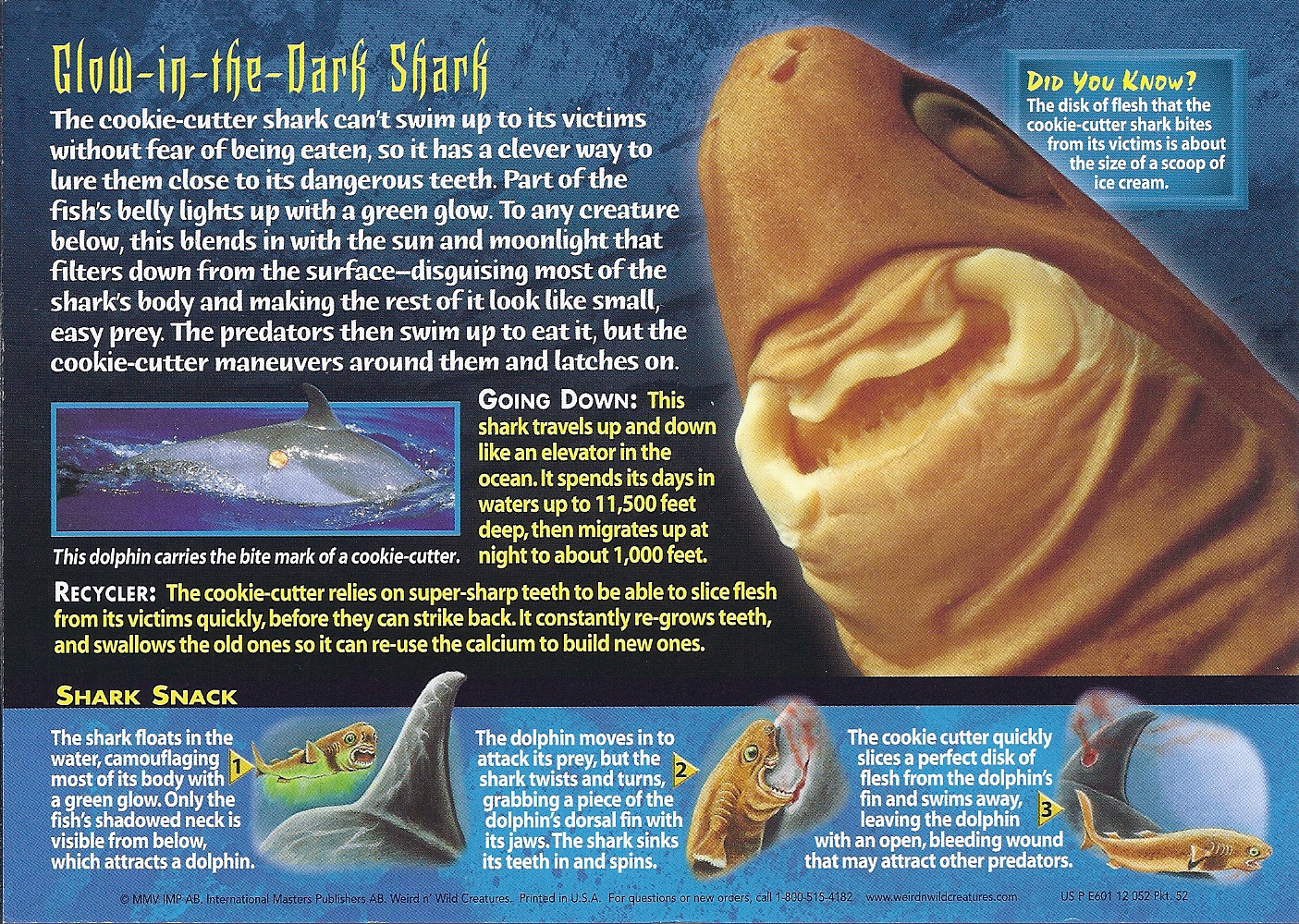 cookie-cutter-shark-wierd-n-wild-creatures-wiki