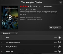 Netflix TVD