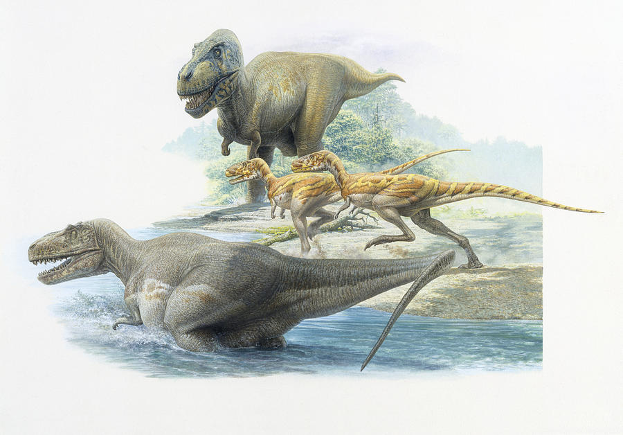 Image Tyrannosaurs And Albertosaurus John Sibbick Dinopedia