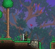 Shotgunshooting