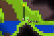 Lifefruit