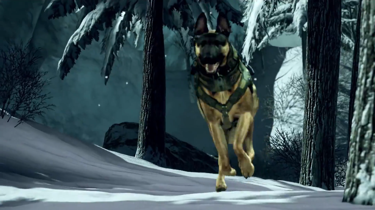 Image - Guard Dog running Whiteout CoDG.png - The Call of Duty Wiki
