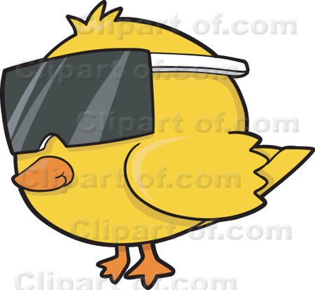 18806_cool_yellow_chicken_wearing_sunglasses.jpg