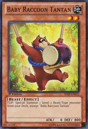 BabyRaccoonTantan-SHSP-EN-C-1E