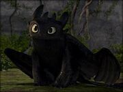 Images (12)