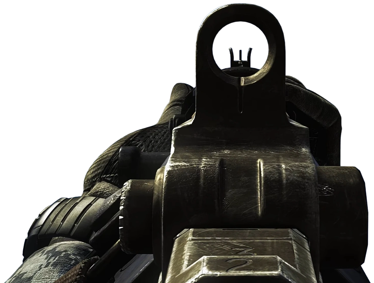 Image SC2010 iron sights CoDG.png The Call of Duty Wiki Black