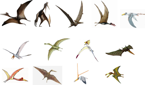 dinosaurs and pterosaurs