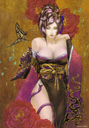 Nohime-sw3-art