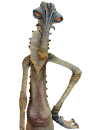 Beedo Front View
