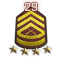 Rank 29