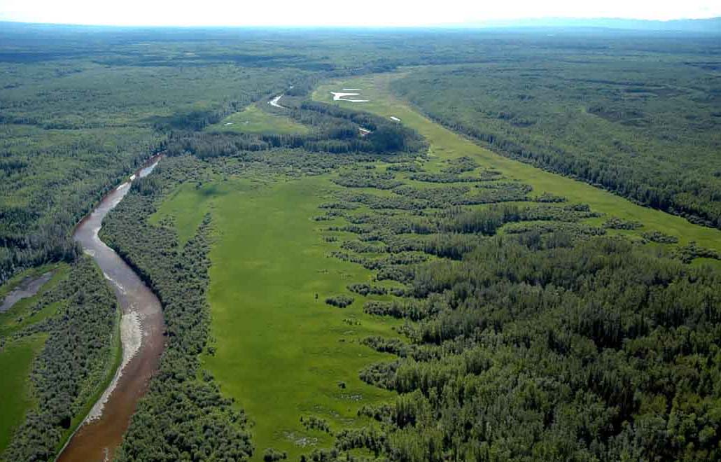 Taiga plains are centered around the Mackenzie River in the western Northwe...