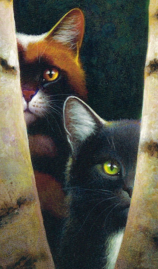 Dapplepelt Warrior Cats Wiki Erin Hunter, Buchreihe, Katzen, Clans