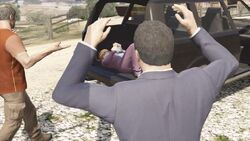 Caida Libre 11