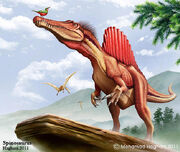 Spinosaurus-mohamad-haghani