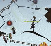 Snowball arena