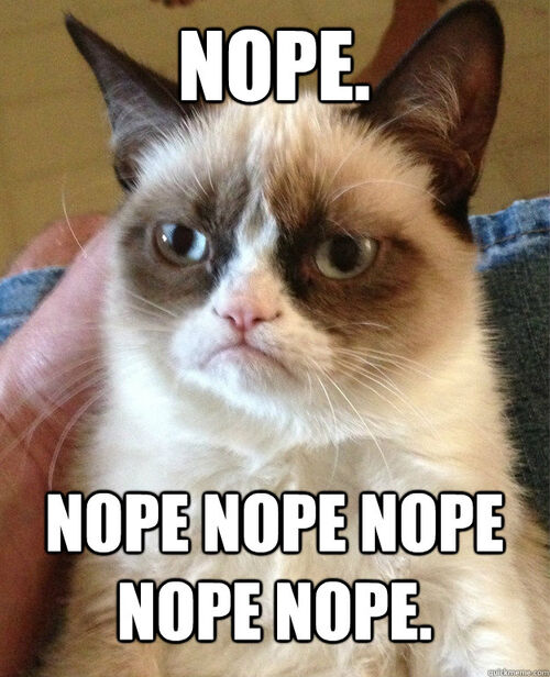 500px-Grumpy-cat-nope.jpg