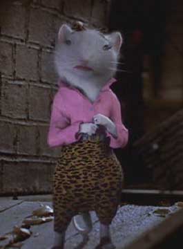 Cat And Rat Stuart Little Movie Cat And Rat Stuart Little Movie