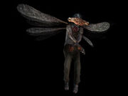 5-Shibito - Fly