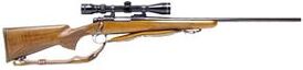 290px-Remington 700 BDL