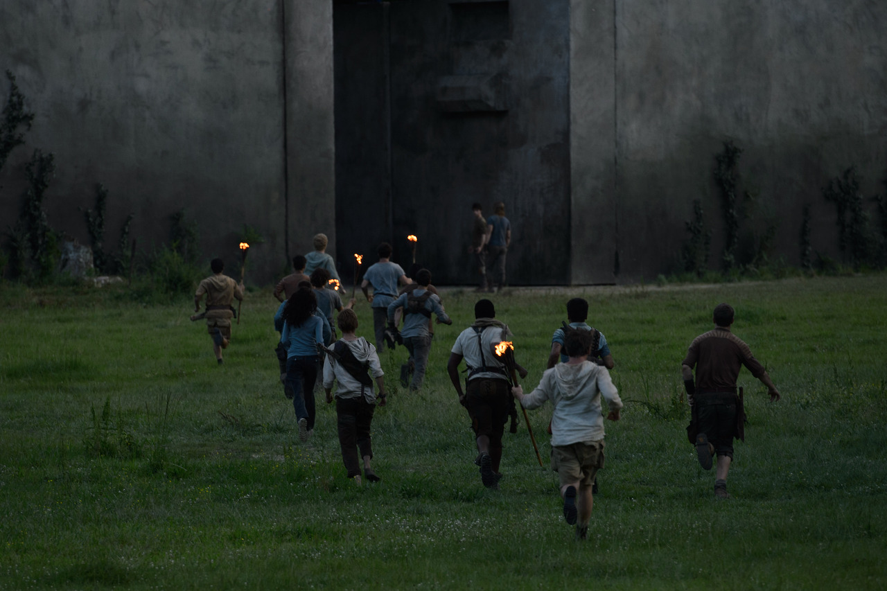 Gladers - The Maze Runner Wiki