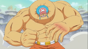 Chopper after timeskip heavy point