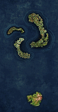 The Loop