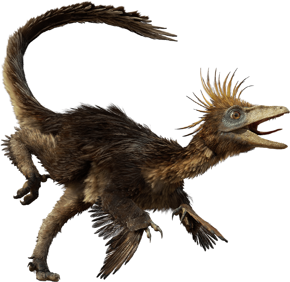 a troodon