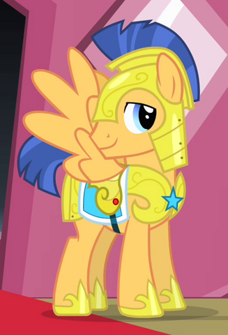 327px-Flash_Sentry_ID_S4E11.png