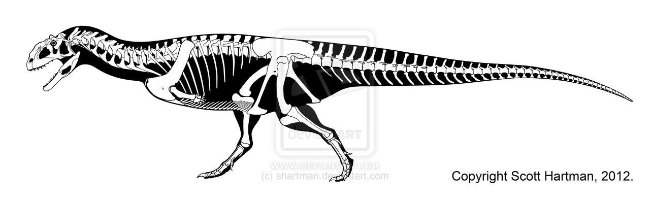 majungasaurus skeleton