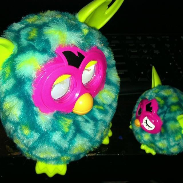 furbling boom
