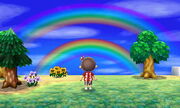 NL Double Rainbow