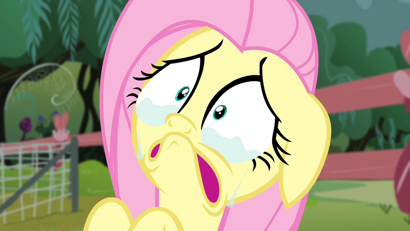 [Bild: 800px-Fluttershy_crying_face_S4E14.png]