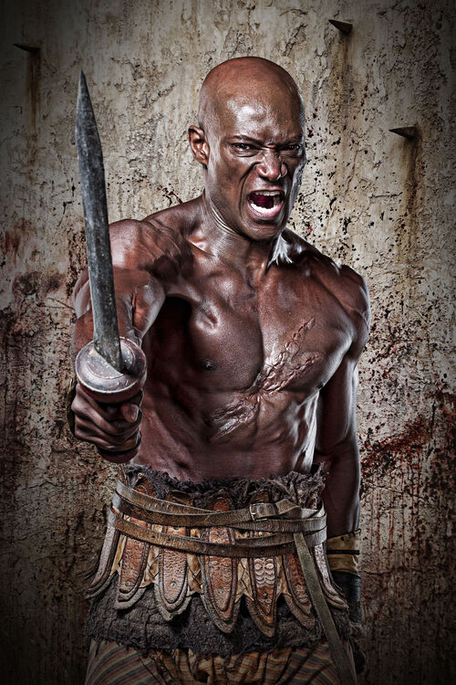 Gladiator Spartacus Gladiator Spartacus