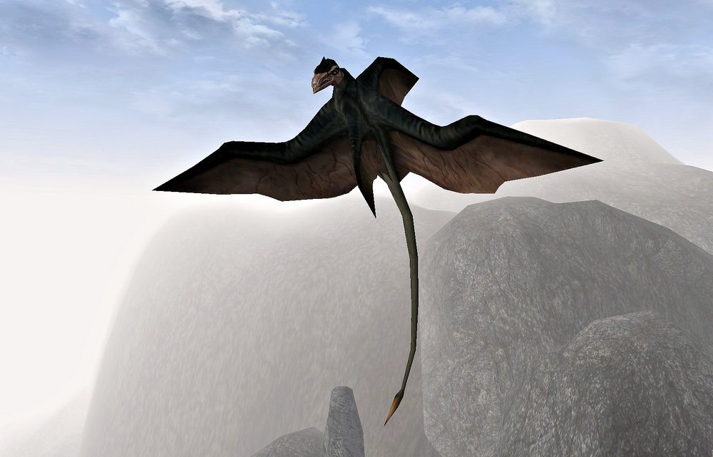 1000px-Cliff_Racer_%28Morrowind%29.png