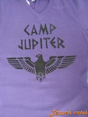 Camiseta-acampamento-jupiter-spqr-costas-lana-camiseta MLB-O-2804580366 062012