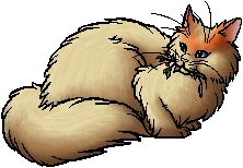 Warrior Cat Rp Mc Warrior Cat Rp Mc