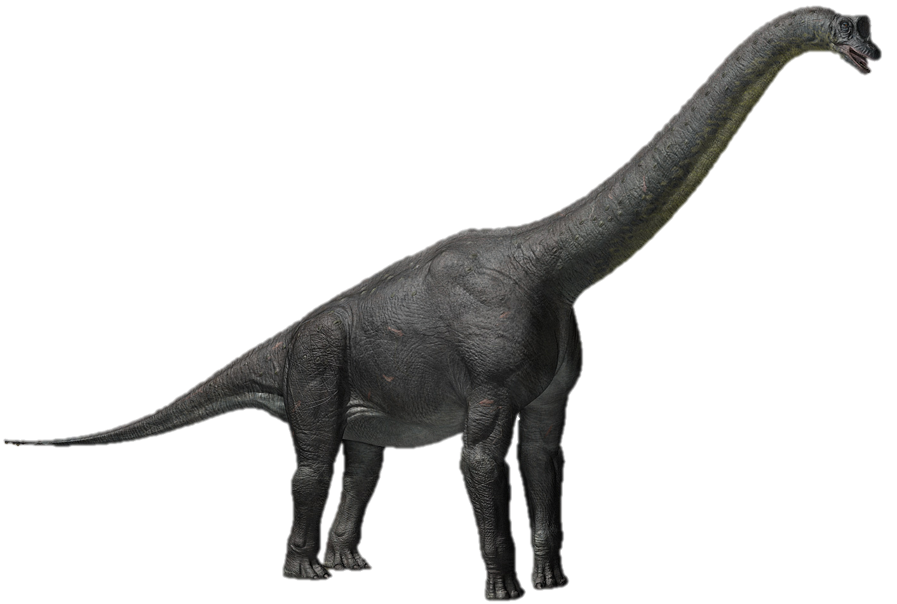 alamosaurus brachiosaurus