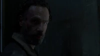 Twd0416-2165