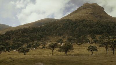 MotherOfMountains